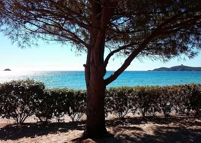 Residences A Ruscana * Pinarellu