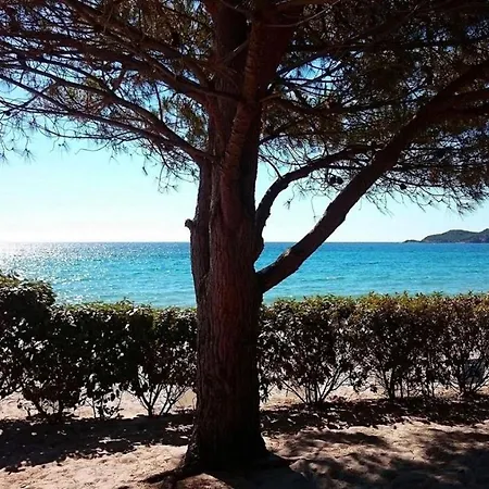 Residences A Ruscana * Pinarellu (Corsica)